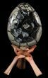 Huge, Septarian Dragon Egg Geode - Black Crystals #60364-2